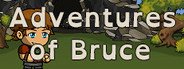 Adventures of Bruce System Requirements