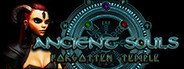 ANCIENT SOULS System Requirements