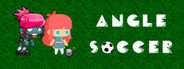 Angle Soccer System Requirements