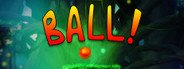 BALL! System Requirements