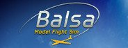 BALSA Model Flight Simulator System Requirements