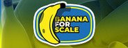 Banana for Scale System Requirements