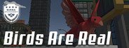 Birds Are Real System Requirements