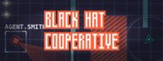 Black Hat Cooperative System Requirements