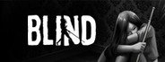 Blind System Requirements