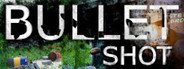 Bullet Shot System Requirements