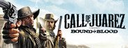 Call of Juarez: Bound in Blood System Requirements