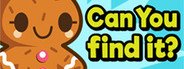 Can I Run Can You find it??