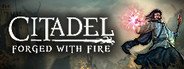 Citadel: Forged with Fire System Requirements