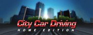 City Car Driving System Requirements