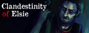 Clandestinity of Elsie System Requirements