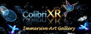 Colibri XR Immersive Art Gallery System Requirements