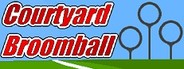 Courtyard Broomball System Requirements
