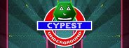 CYPEST Underground System Requirements
