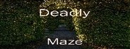Deadly Maze System Requirements