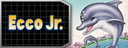 Ecco Jr. System Requirements