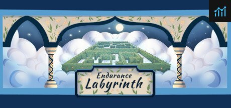 Endurance Labyrinth PC Specs