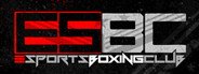 eSports Boxing Club System Requirements