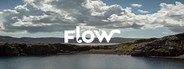 Flow System Requirements