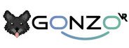 GonzoVR System Requirements