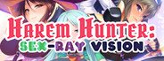 Harem Hunter: Sex-ray Vision System Requirements