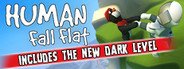 Human: Fall Flat System Requirements