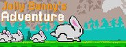 Jolly Bunny's Adventure System Requirements