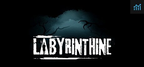 Labyrinthine System Requirements