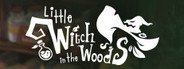 Little Witch in the Woods System Requirements