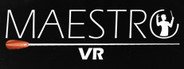 Maestro VR System Requirements
