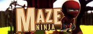 Maze Ninja System Requirements