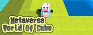 Metaverse-World Of Cube System Requirements