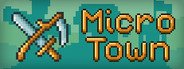 MicroTown System Requirements