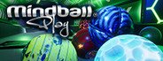 Mindball Play System Requirements