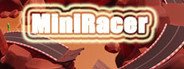 MiniRacer System Requirements