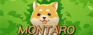 Montaro System Requirements