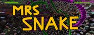 MRS SNAKE System Requirements