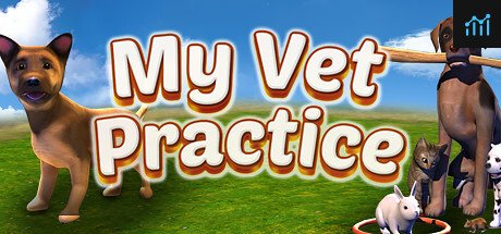 veterinarian games for high schoolers