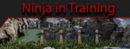 Can I Run Ninja in Training?