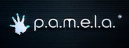 P.A.M.E.L.A. System Requirements