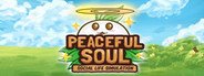 Peaceful Soul System Requirements