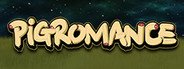 PIGROMANCE System Requirements