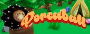 Porcuball System Requirements