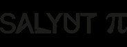 Salyut π System Requirements