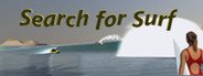 Search for Surf System Requirements