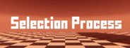 Selection Process System Requirements