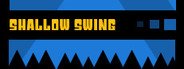 Shallow Swing System Requirements