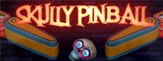 Skully Pinball System Requirements