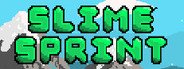Slime Sprint System Requirements