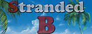 Stranded B System Requirements